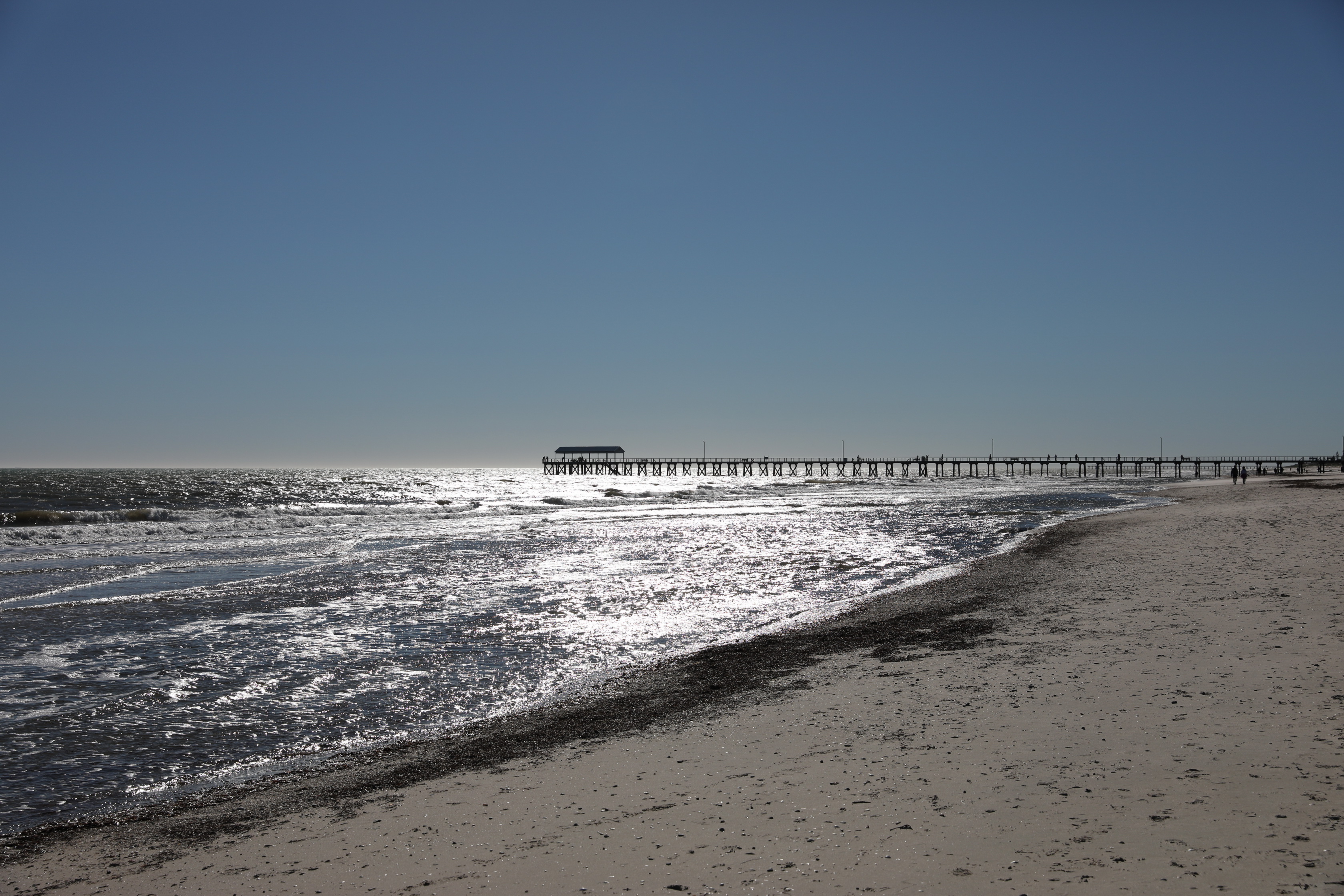 2019 07 20 14 25 31 Canon EOS 5D Mark IV 0005